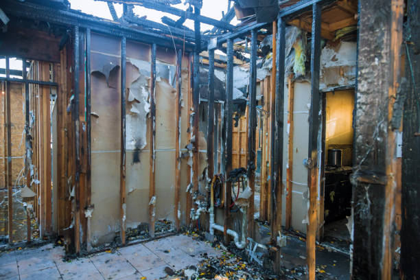Professional Odor Removal technician working in Hobart, WI
