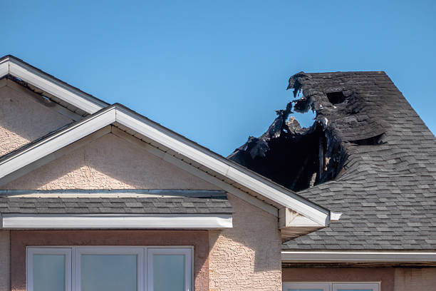 Top rated local Odor Removal specialists in Hobart, WI
